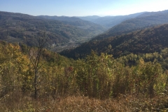 0308 14-10 view