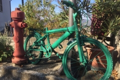 0309 14-10 green bike
