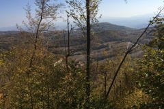 0321 16-10 view
