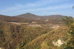 0333 17-10 view