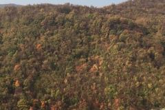 0335 17-10 view