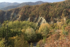 0336 17-10 view