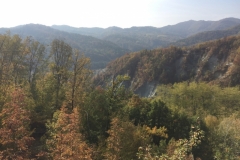 0339 17-10 view