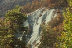 0341 17-10 view