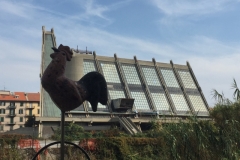 0352 17-10 Cockerel