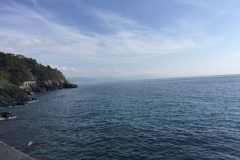 0393 19-10 Headland