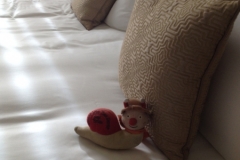 1084  20-9 room