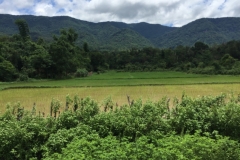 9331  6-7-19 view