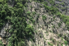 9333  6-7-19 view