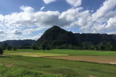 9353  6-7-19 view