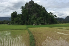 9364  7-7-19 paddy fields
