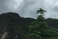 9375  8-7-19 view