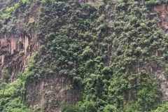 9380  8-7-19 view