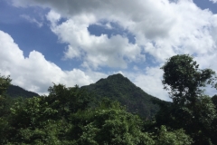9382  8-7-19 view