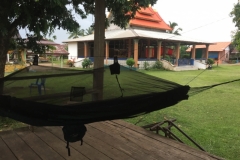 9444  11-7-19 hammock