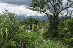 9454  12-7-19 view
