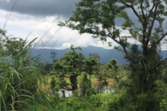 9455  12-7-19 view
