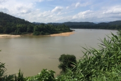 9462  12-7-19 river