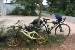 9476  13-7-19 bike