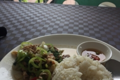 9482  15-7-19 meal