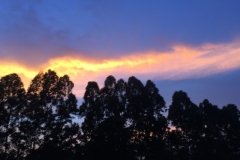 9491  15-7-19 sky
