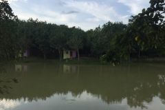 9504  16-7-19 lake