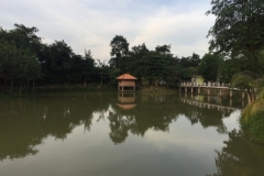9506  16-7-19 bridge