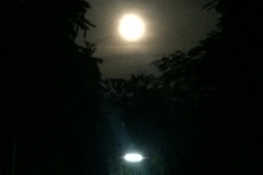 9509  16-7-19 moon