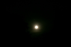 9510  16-7-19 moon