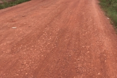 9554  21-7-19 road