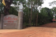 9566  21-7-19 forest temple