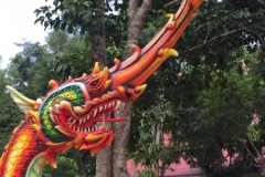 9570  21-7-19 forest temple