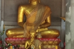 9571  21-7-19 forest temple