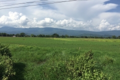 9575  21-7-19 view