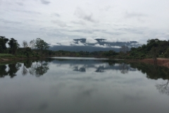9602  23-7-19 river