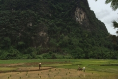 9608  23-7-19 fields
