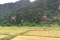 9609  23-7-19 fields