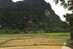 9610  23-7-19 fields