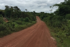 9614  23-7-19 road