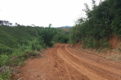 9628  23-7-19 road