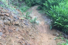 9632  23-7-19 path