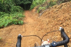 9633  23-7-19 path