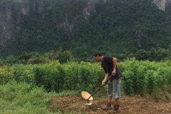 9648  24-7-19 digging
