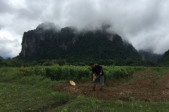 9649  24-7-19 digging