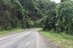 9695  26-7-19 road