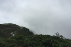9719  27-7-19 view