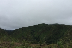9730  27-7-19 view