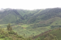 9731  27-7-19 view