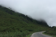 9737  27-7-19 road