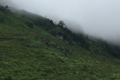 9738  27-7-19 view